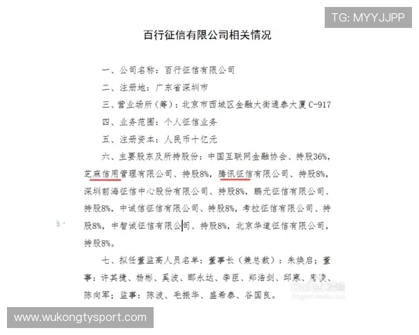 个人表现与团队成绩：麦迪逊的生涯评估