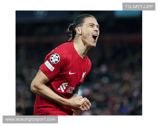 努涅斯高价转会后的期待与现实落差解析