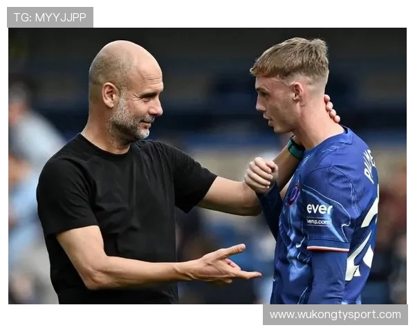 帕尔默的体系依赖性与战术角色分析