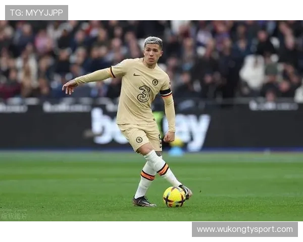 恩佐转会费是否溢价：战术价值与市场定价匹配度分析